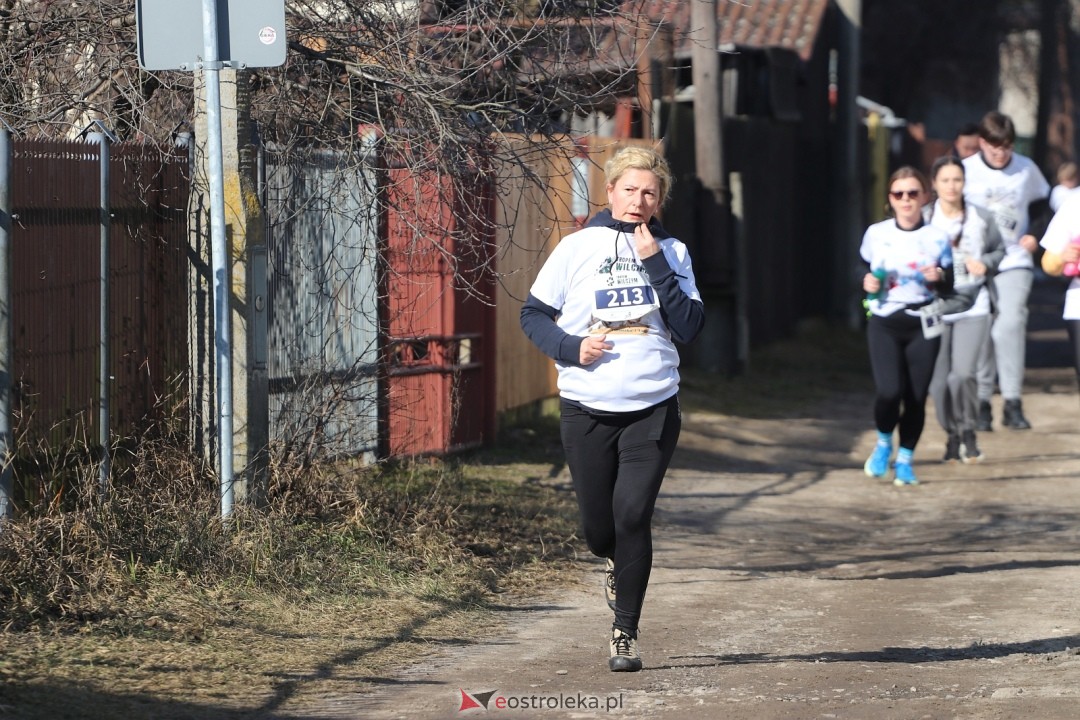 Bieg Tropem Wilczym 2026 Ostrołęka [01.03.2026] - zdjęcie #133 - eOstroleka.pl