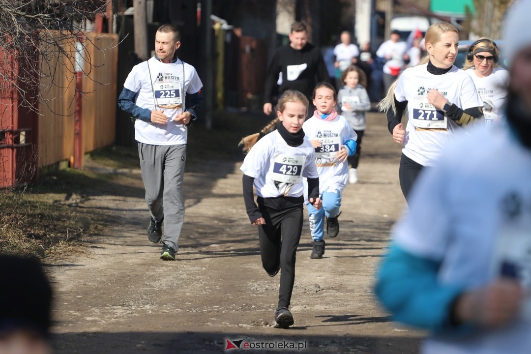 Bieg Tropem Wilczym 2026 Ostrołęka [01.03.2026] - zdjęcie #126 - eOstroleka.pl