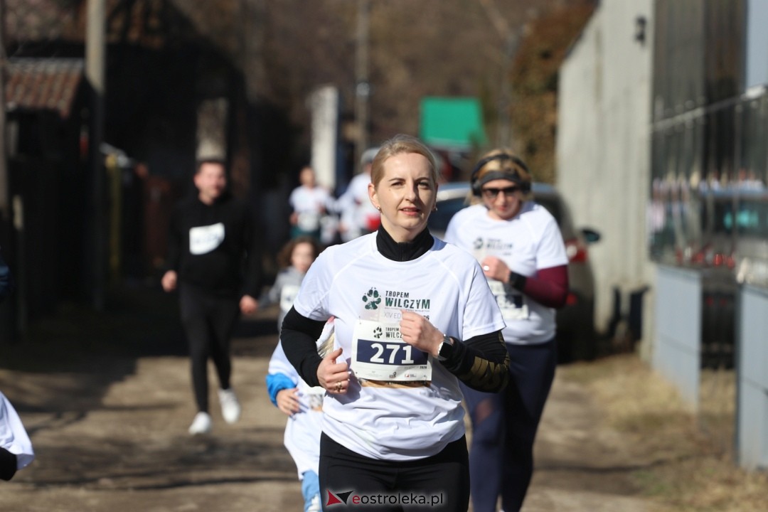 Bieg Tropem Wilczym 2026 Ostrołęka [01.03.2026] - zdjęcie #125 - eOstroleka.pl
