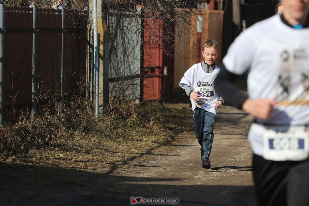 Bieg Tropem Wilczym 2026 Ostrołęka [01.03.2026] - zdjęcie #119 - eOstroleka.pl