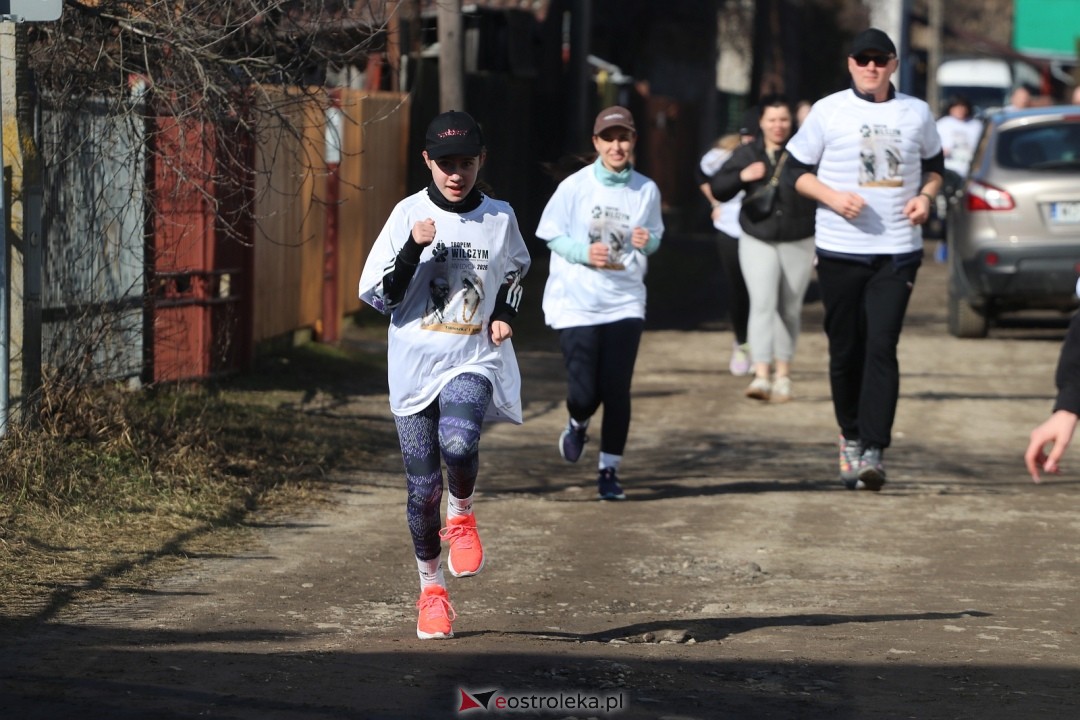 Bieg Tropem Wilczym 2026 Ostrołęka [01.03.2026] - zdjęcie #113 - eOstroleka.pl