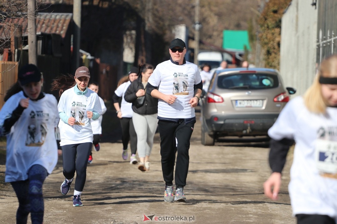 Bieg Tropem Wilczym 2026 Ostrołęka [01.03.2026] - zdjęcie #112 - eOstroleka.pl