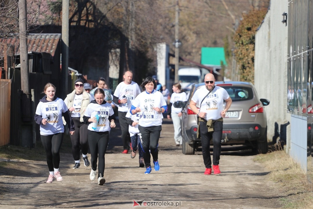 Bieg Tropem Wilczym 2026 Ostrołęka [01.03.2026] - zdjęcie #107 - eOstroleka.pl