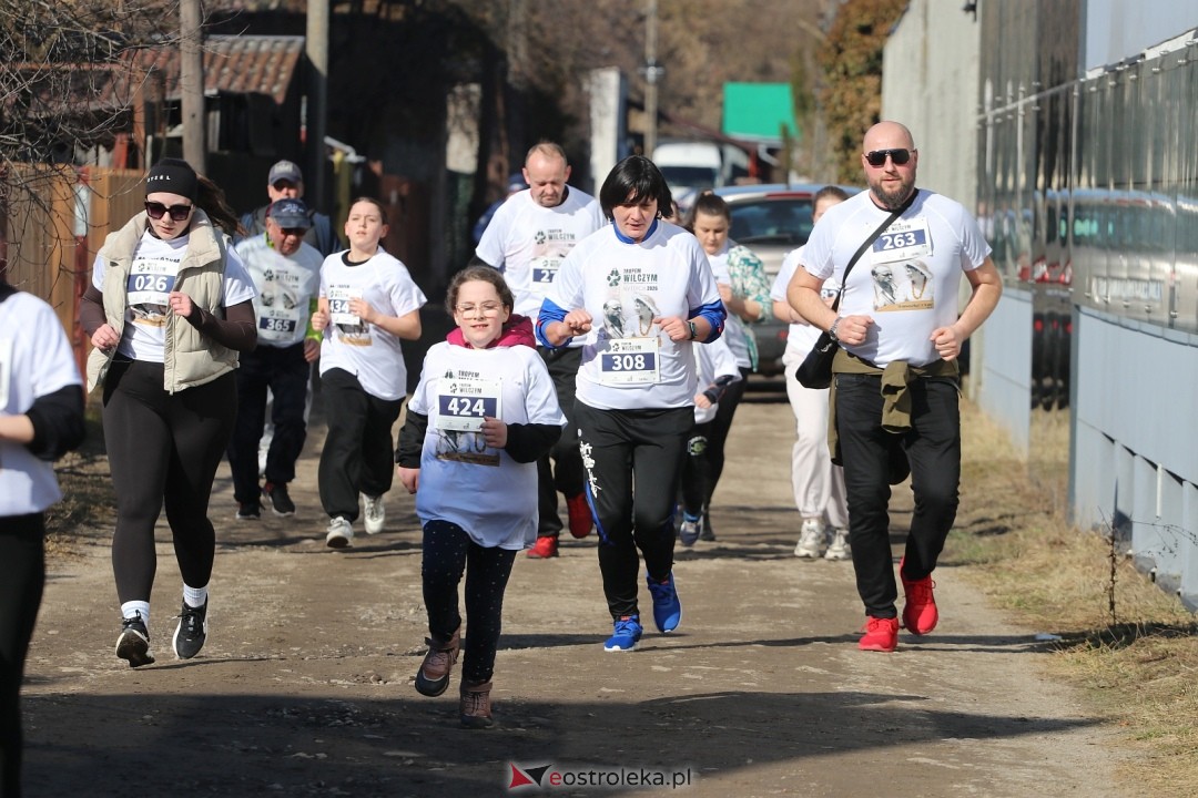 Bieg Tropem Wilczym 2026 Ostrołęka [01.03.2026] - zdjęcie #106 - eOstroleka.pl