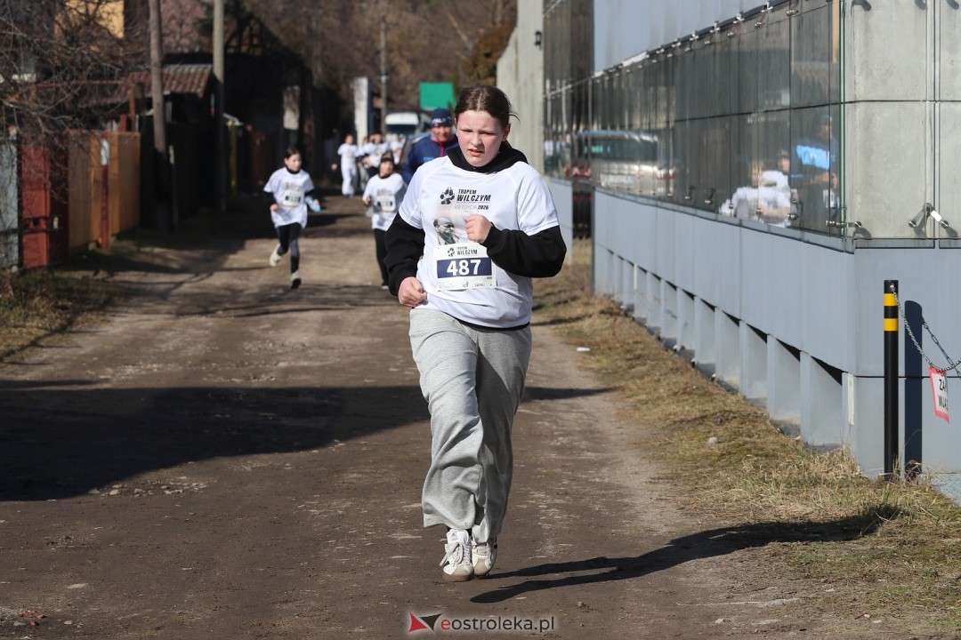 Bieg Tropem Wilczym 2026 Ostrołęka [01.03.2026] - zdjęcie #100 - eOstroleka.pl
