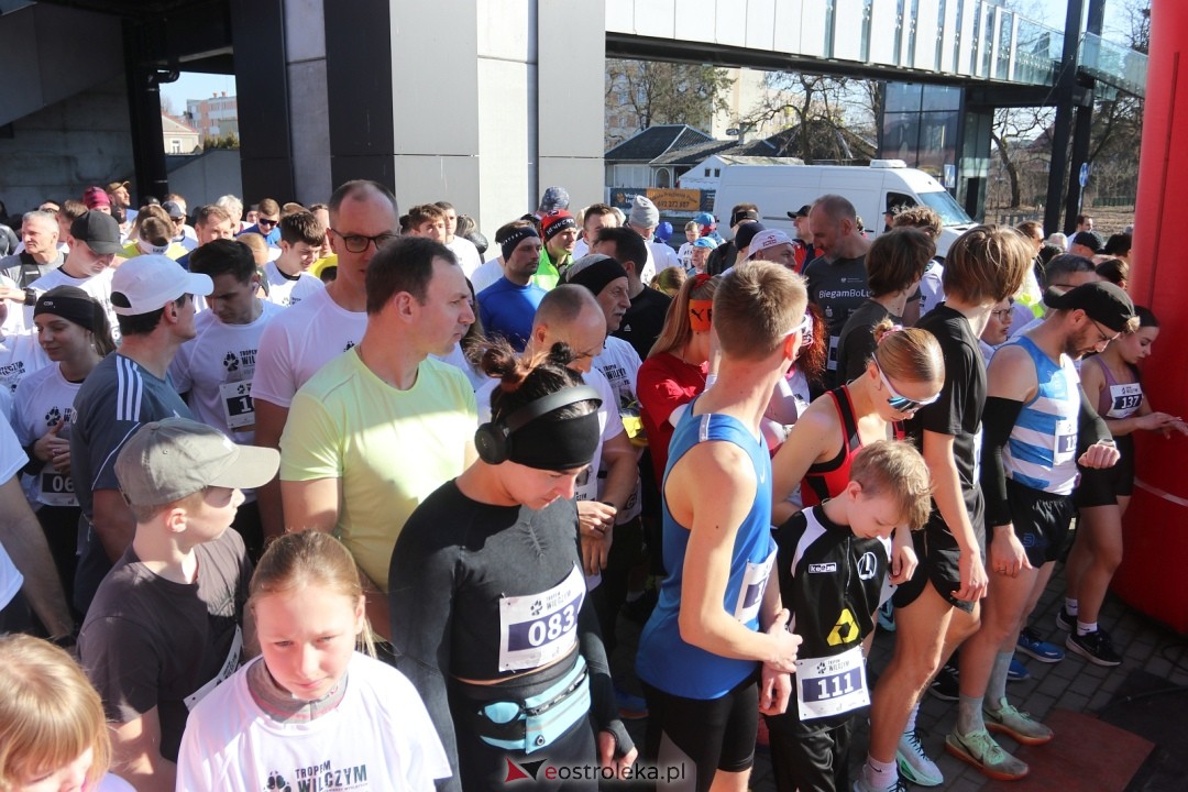Bieg Tropem Wilczym 2026 Ostrołęka [01.03.2026] - zdjęcie #38 - eOstroleka.pl