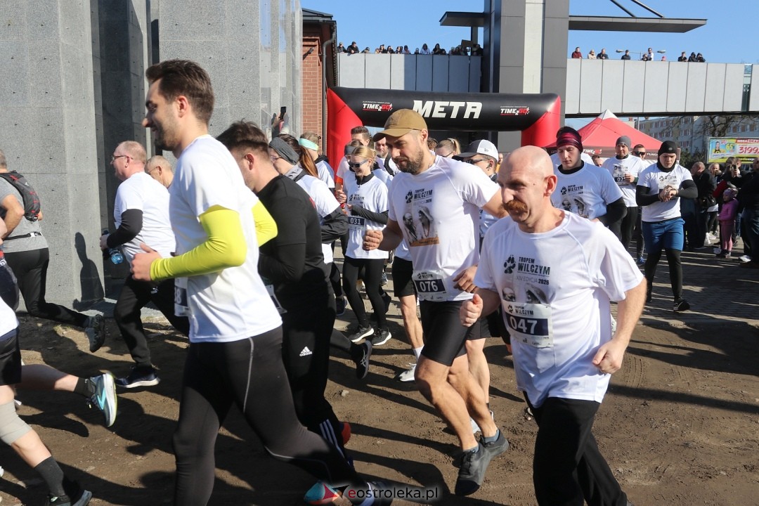 Bieg Tropem Wilczym 2026 Ostrołęka [01.03.2026] - zdjęcie #18 - eOstroleka.pl