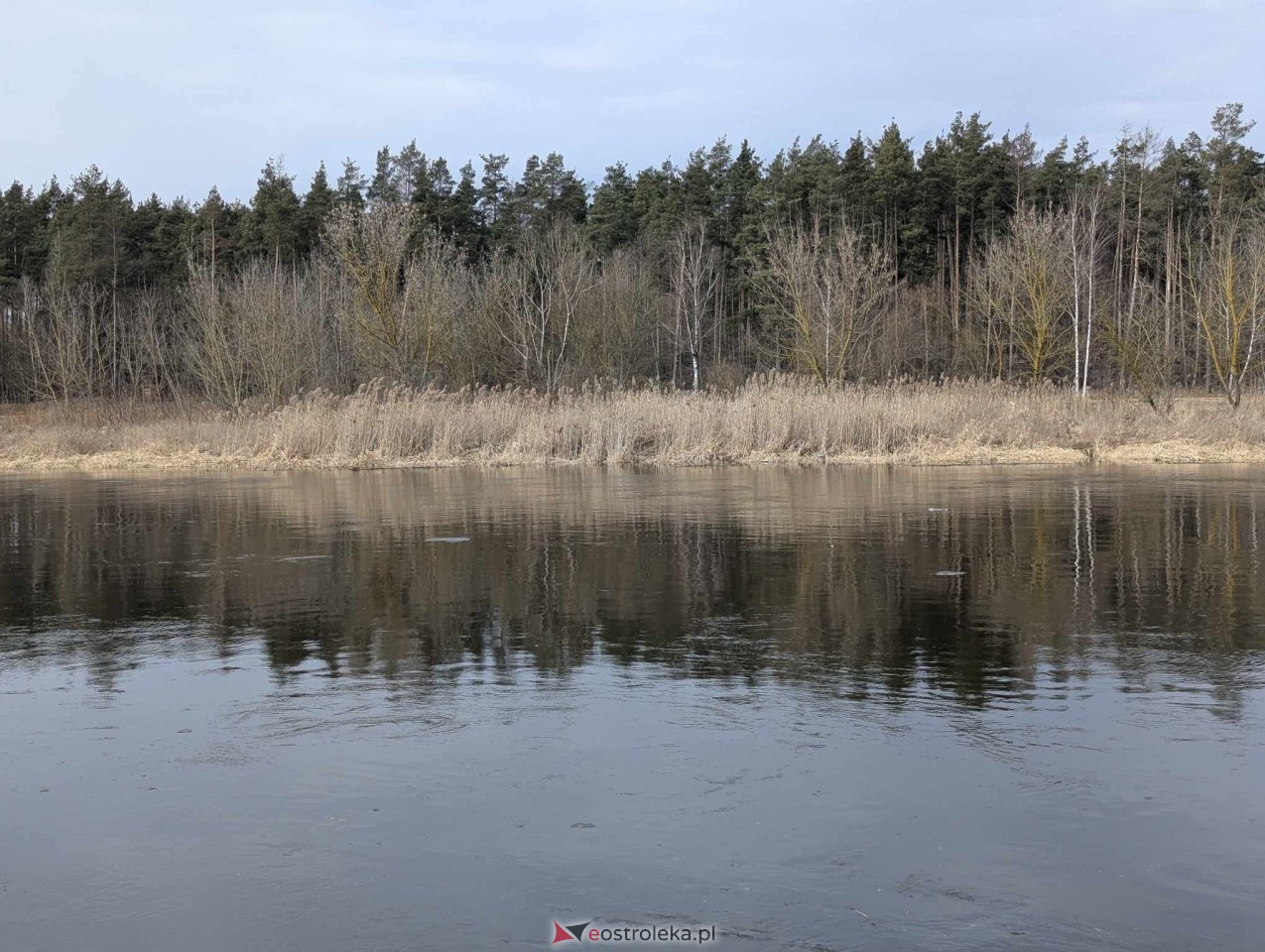 Stan wody w Ostrołęce [2.03.2026] - zdjęcie #7 - eOstroleka.pl