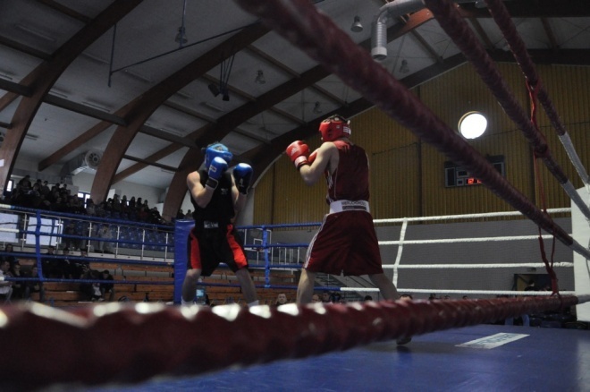 Puchar Polski Juniorów w Boksie (18.11.2011) - zdjęcie #31 - eOstroleka.pl