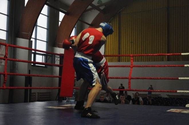 Puchar Polski Juniorów w Boksie (18.11.2011) - zdjęcie #7 - eOstroleka.pl