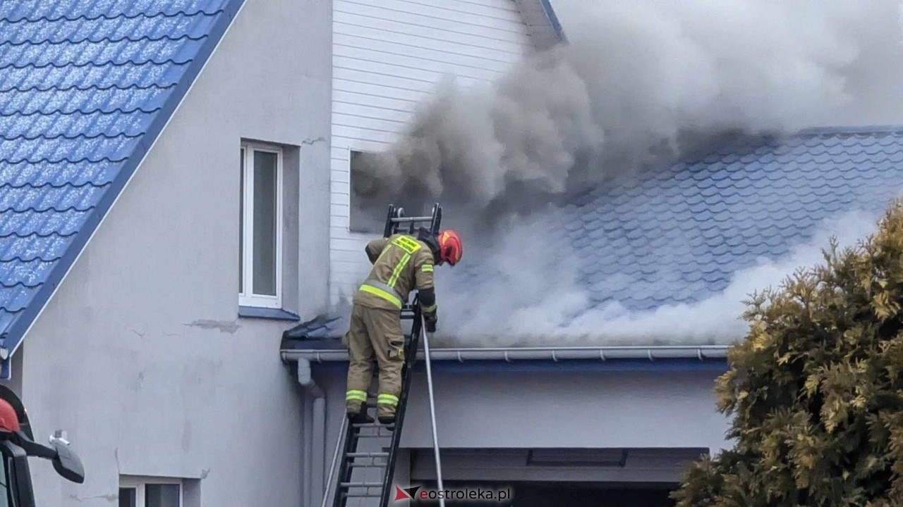 Akcje ratunkowe w Ostrołęce i okolicach - to działo się w 2025 roku! [05.03.2026] - zdjęcie #6 - eOstroleka.pl