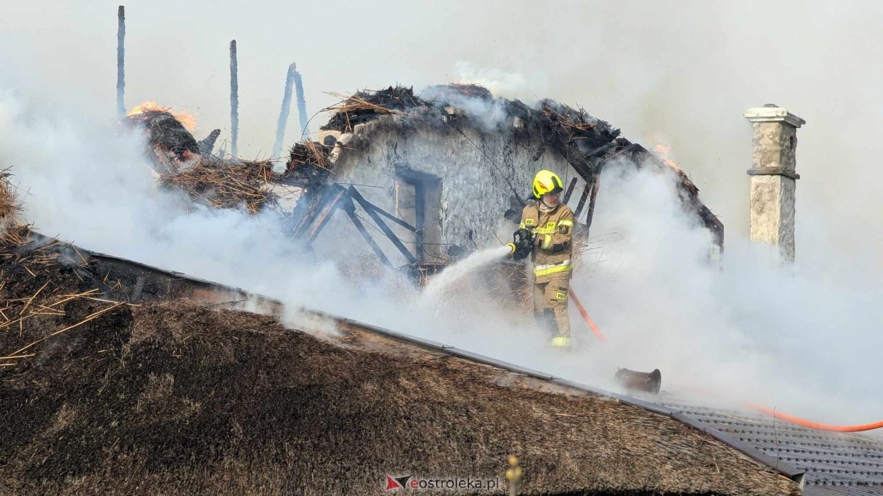 Akcje ratunkowe w Ostrołęce i okolicach - to działo się w 2025 roku! [05.03.2026] - zdjęcie #5 - eOstroleka.pl