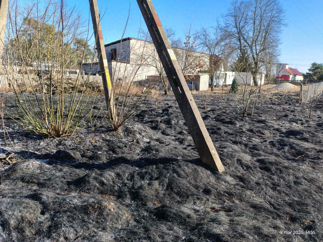 Pożary traw w powiecie ostrołęckim: Kunin, Kobylin, Goworówek, Żebry Ostrowy [10.03.2026] - zdjęcie #2 - eOstroleka.pl