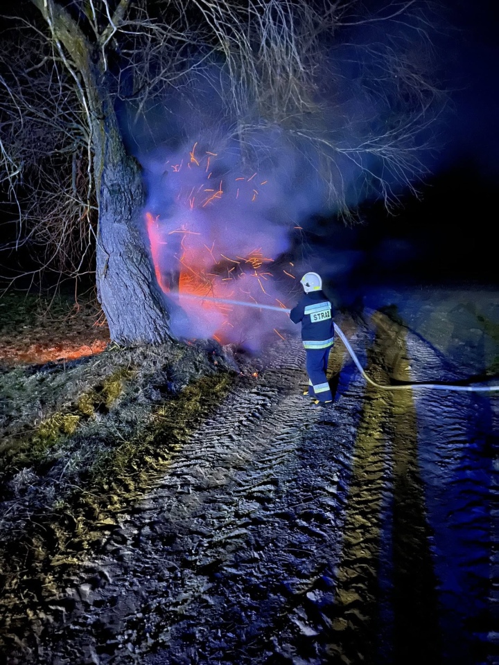 Pożar drzewa w Ponikwi Dużej [12.03.2026] - zdjęcie #6 - eOstroleka.pl
