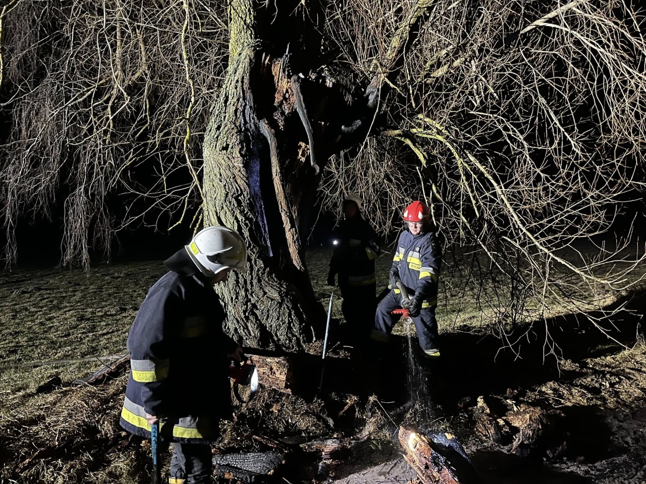 Pożar drzewa w Ponikwi Dużej [12.03.2026] - zdjęcie #5 - eOstroleka.pl