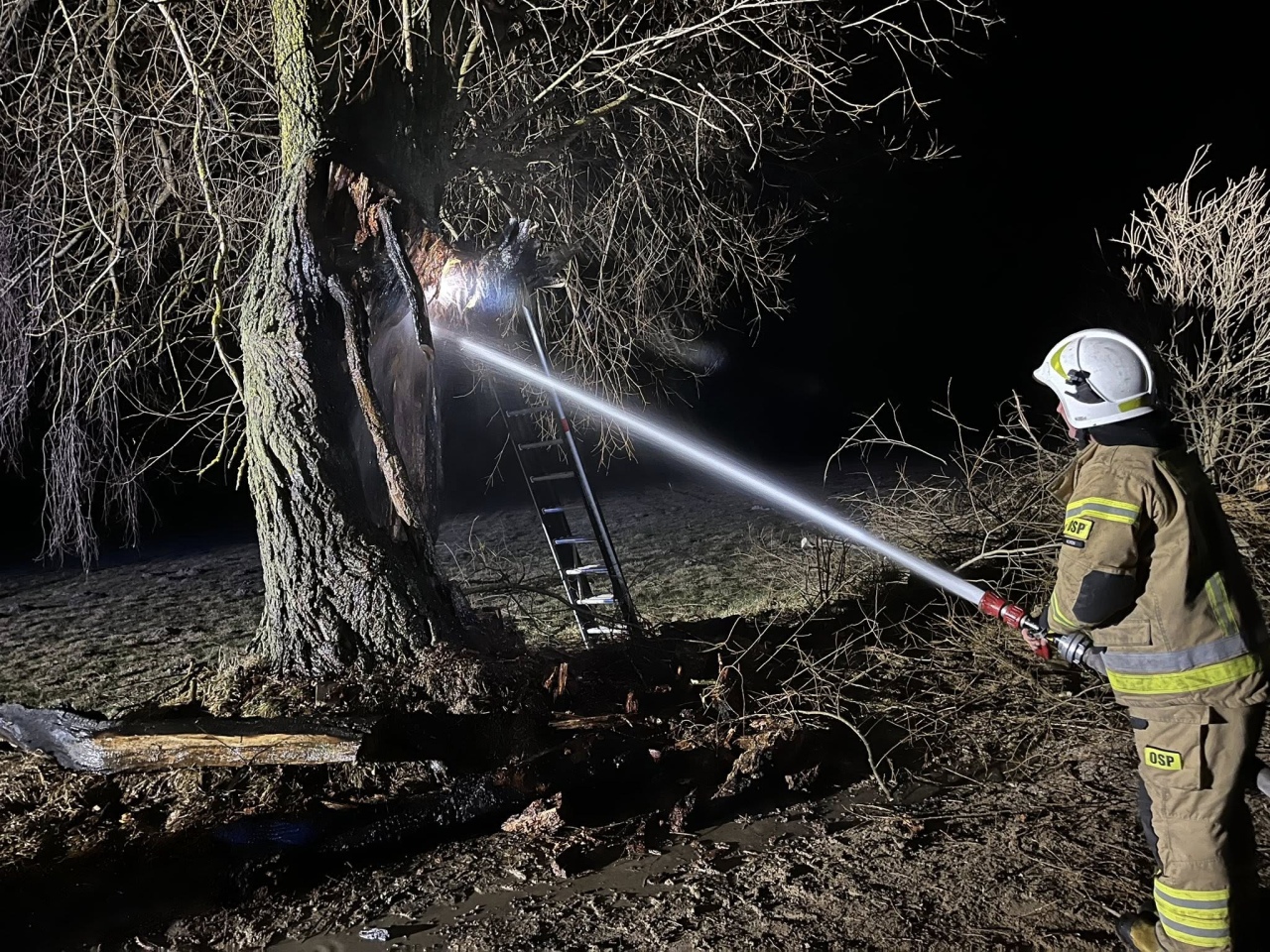 Pożar drzewa w Ponikwi Dużej [12.03.2026] - zdjęcie #3 - eOstroleka.pl