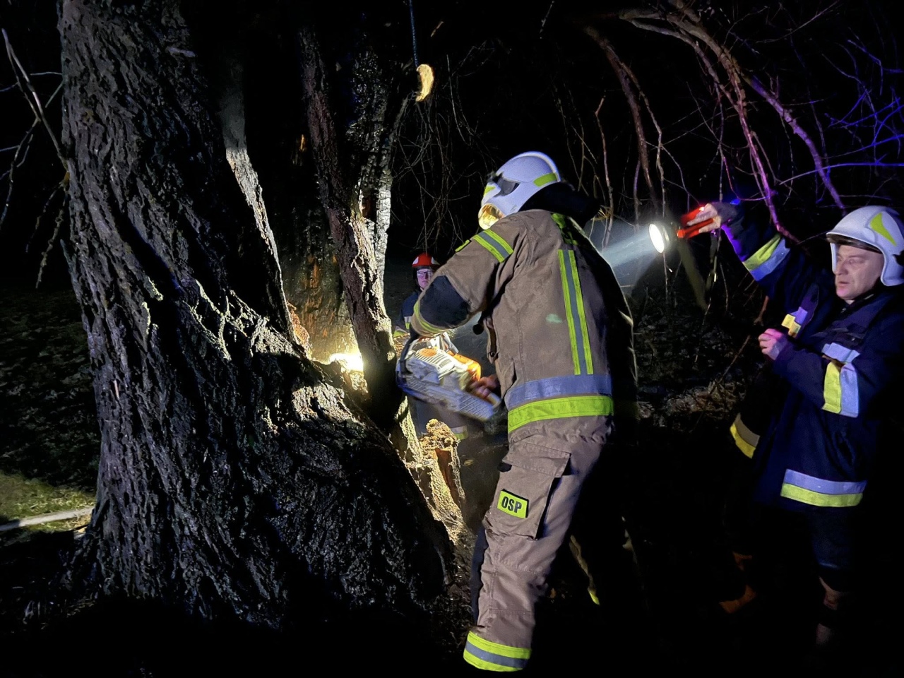 Pożar drzewa w Ponikwi Dużej [12.03.2026] - zdjęcie #2 - eOstroleka.pl