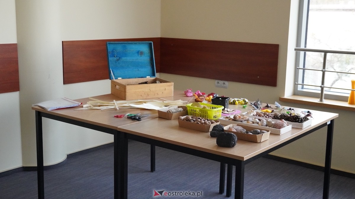 MSCDN wydział w Ostrołęce: Podsumowanie projektu „Edukacja outdoorowa w szkole i przedszkolu” [12.03.2026] - zdjęcie #41 - eOstroleka.pl