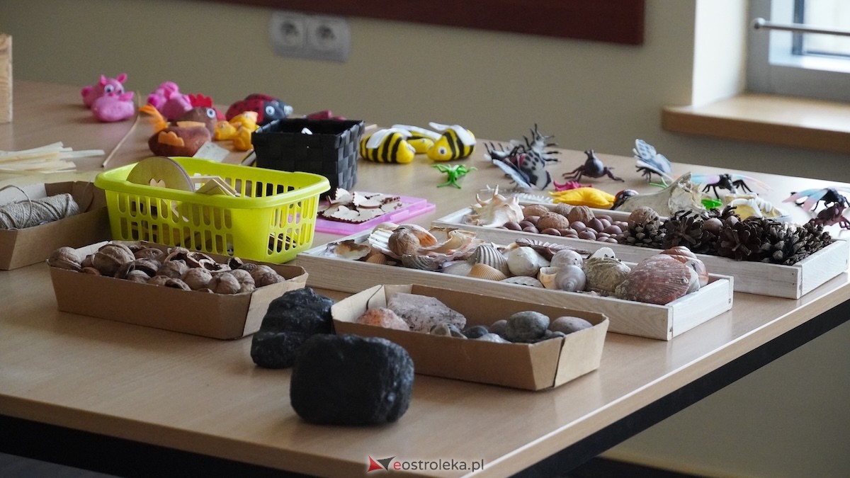 MSCDN wydział w Ostrołęce: Podsumowanie projektu „Edukacja outdoorowa w szkole i przedszkolu” [12.03.2026] - zdjęcie #40 - eOstroleka.pl
