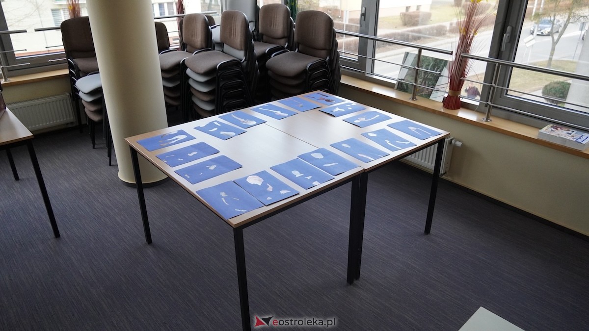 MSCDN wydział w Ostrołęce: Podsumowanie projektu „Edukacja outdoorowa w szkole i przedszkolu” [12.03.2026] - zdjęcie #37 - eOstroleka.pl