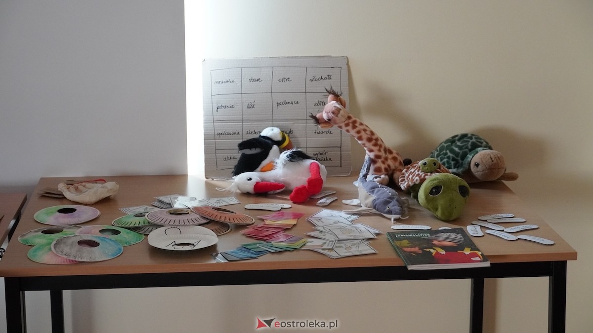 MSCDN wydział w Ostrołęce: Podsumowanie projektu „Edukacja outdoorowa w szkole i przedszkolu” [12.03.2026] - zdjęcie #35 - eOstroleka.pl