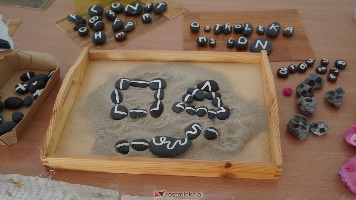 MSCDN wydział w Ostrołęce: Podsumowanie projektu „Edukacja outdoorowa w szkole i przedszkolu” [12.03.2026] - zdjęcie #31 - eOstroleka.pl