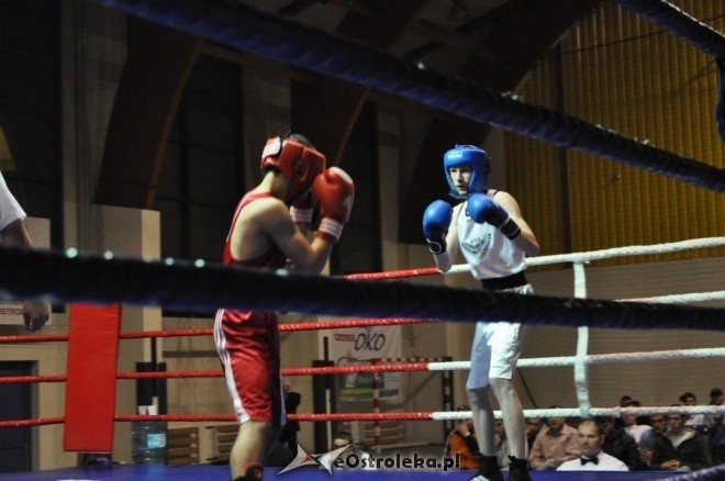 Puchar Polski Juniorów w Boksie - półfinały (19.11.2011) - zdjęcie #84 - eOstroleka.pl