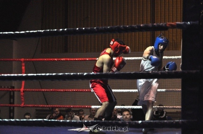Puchar Polski Juniorów w Boksie - półfinały (19.11.2011) - zdjęcie #83 - eOstroleka.pl