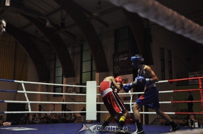 Puchar Polski Juniorów w Boksie - półfinały (19.11.2011) - zdjęcie #78 - eOstroleka.pl