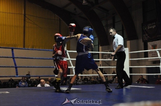 Puchar Polski Juniorów w Boksie - półfinały (19.11.2011) - zdjęcie #75 - eOstroleka.pl
