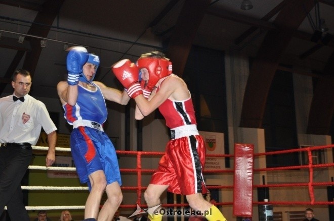 Puchar Polski Juniorów w Boksie - półfinały (19.11.2011) - zdjęcie #69 - eOstroleka.pl