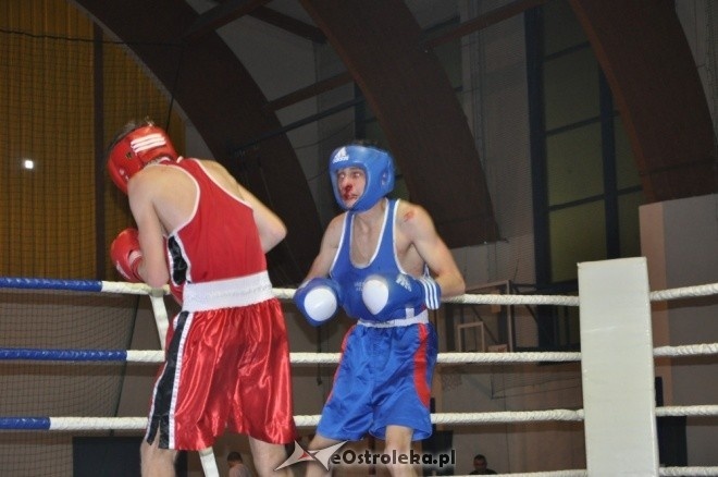 Puchar Polski Juniorów w Boksie - półfinały (19.11.2011) - zdjęcie #66 - eOstroleka.pl