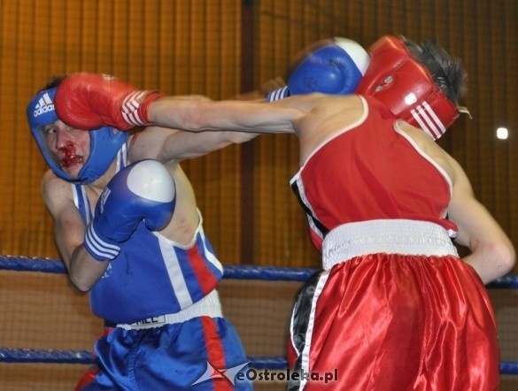 Puchar Polski Juniorów w Boksie - półfinały (19.11.2011) - zdjęcie #64 - eOstroleka.pl