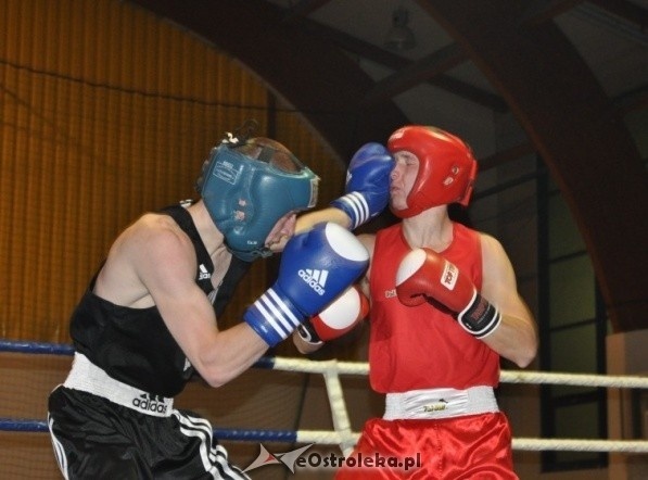 Puchar Polski Juniorów w Boksie - półfinały (19.11.2011) - zdjęcie #60 - eOstroleka.pl