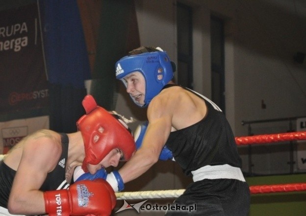 Puchar Polski Juniorów w Boksie - półfinały (19.11.2011) - zdjęcie #51 - eOstroleka.pl