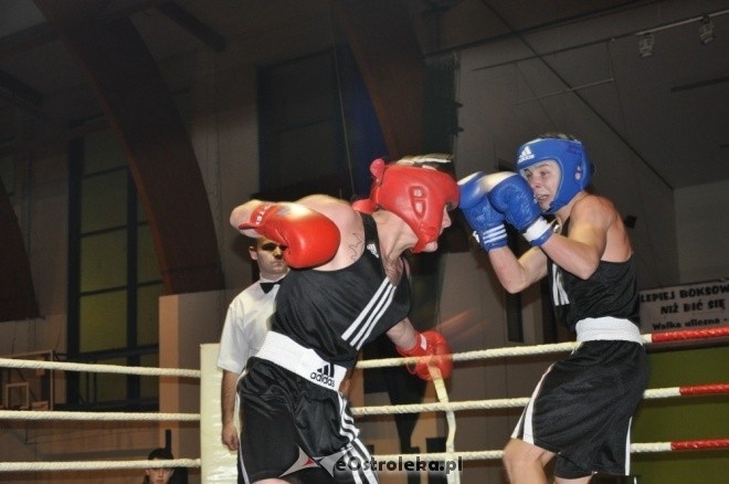 Puchar Polski Juniorów w Boksie - półfinały (19.11.2011) - zdjęcie #42 - eOstroleka.pl