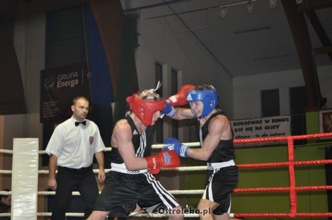 Puchar Polski Juniorów w Boksie - półfinały (19.11.2011) - zdjęcie #41 - eOstroleka.pl