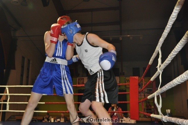 Puchar Polski Juniorów w Boksie - półfinały (19.11.2011) - zdjęcie #37 - eOstroleka.pl