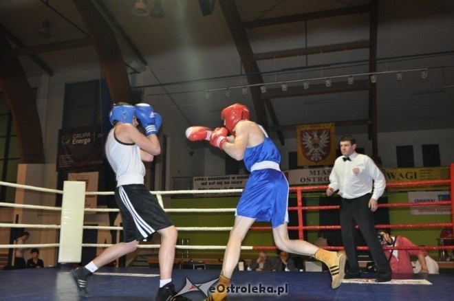 Puchar Polski Juniorów w Boksie - półfinały (19.11.2011) - zdjęcie #33 - eOstroleka.pl