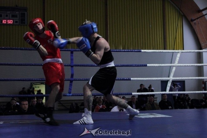 Puchar Polski Juniorów w Boksie - półfinały (19.11.2011) - zdjęcie #24 - eOstroleka.pl