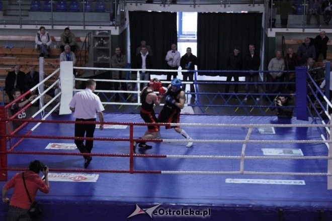 Puchar Polski Juniorów w Boksie - półfinały (19.11.2011) - zdjęcie #16 - eOstroleka.pl