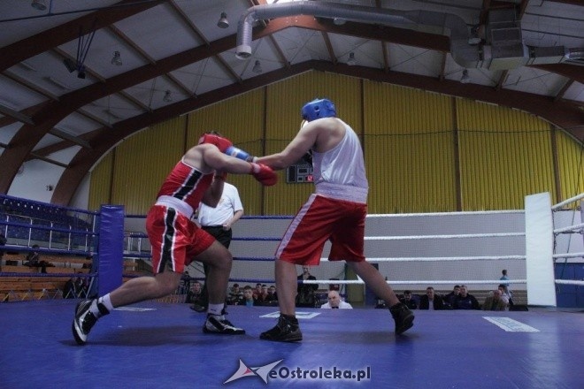 Puchar Polski Juniorów w Boksie - półfinały (19.11.2011) - zdjęcie #11 - eOstroleka.pl