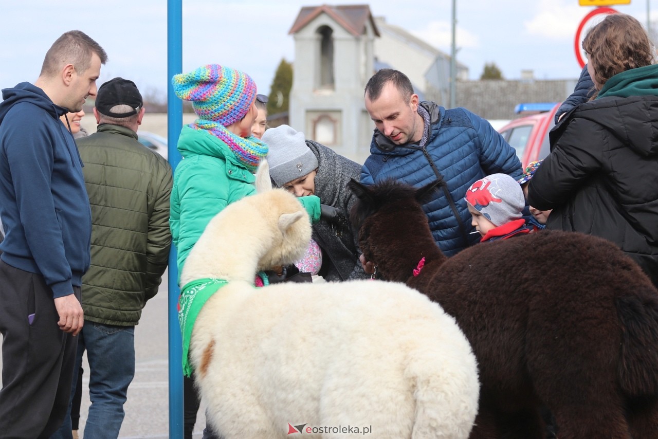 Jarmark Wielkanocny w Rzekuniu [21.03.2026] - zdjęcie #63 - eOstroleka.pl