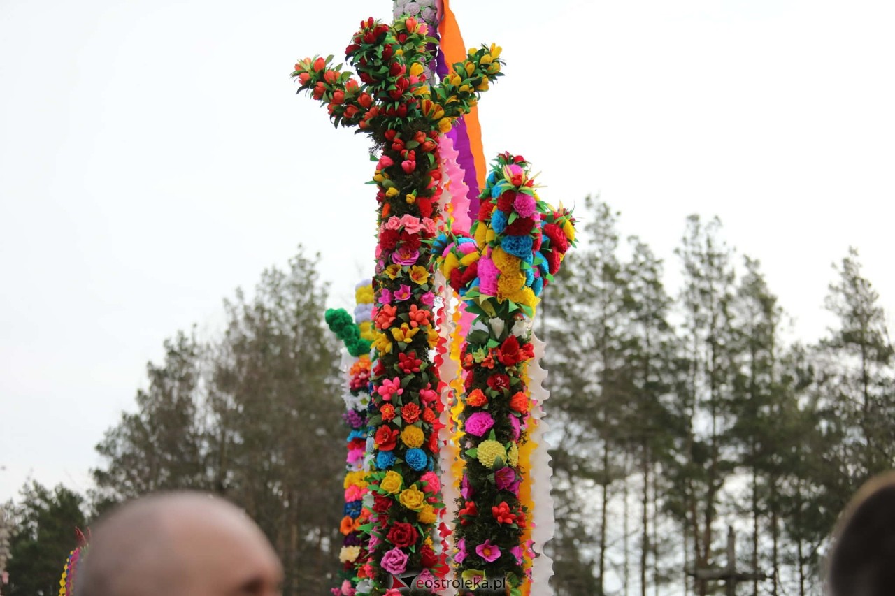 Niedziela Palmowa 2026 w Łysych [29.03.2026] - zdjęcie #203 - eOstroleka.pl