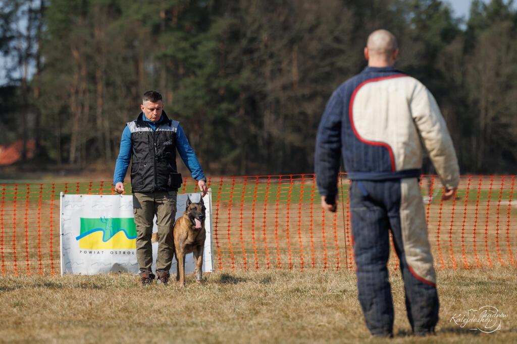 Powiat Ostrołęcki współorganizatorem Mistrzostw Polski w Mondioringu [28.03.2026] - zdjęcie #10 - eOstroleka.pl