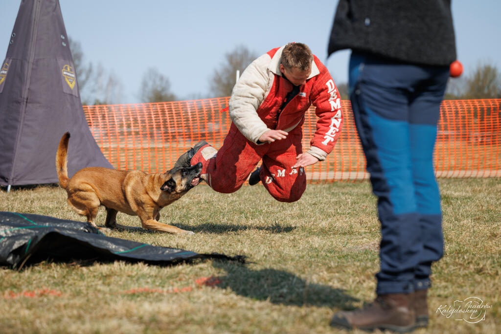 Powiat Ostrołęcki współorganizatorem Mistrzostw Polski w Mondioringu [28.03.2026] - zdjęcie #7 - eOstroleka.pl