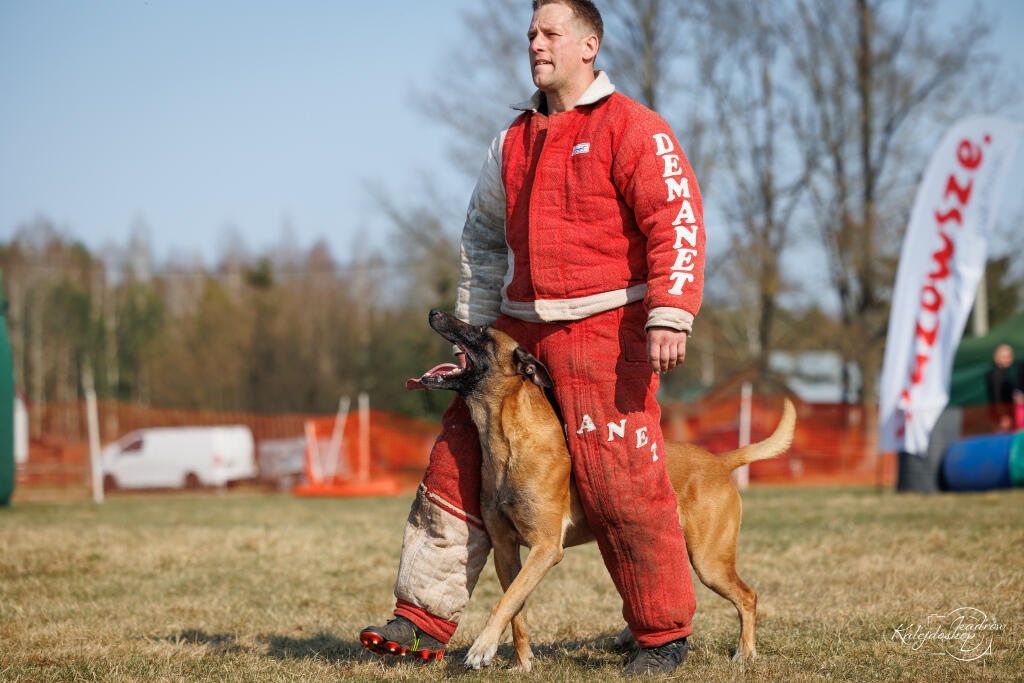 Powiat Ostrołęcki współorganizatorem Mistrzostw Polski w Mondioringu [28.03.2026] - zdjęcie #5 - eOstroleka.pl