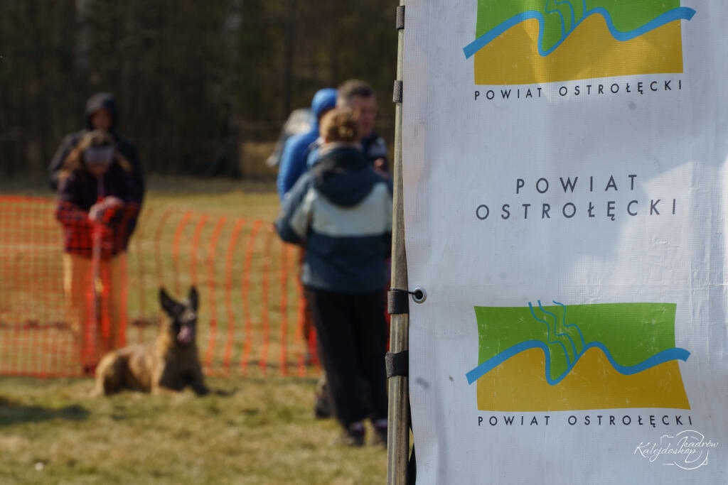 Powiat Ostrołęcki współorganizatorem Mistrzostw Polski w Mondioringu [28.03.2026] - zdjęcie #4 - eOstroleka.pl