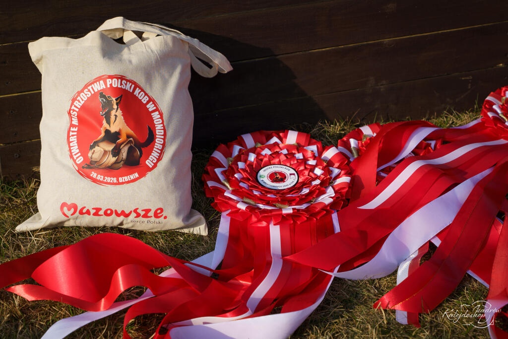 Powiat Ostrołęcki współorganizatorem Mistrzostw Polski w Mondioringu [28.03.2026] - zdjęcie #2 - eOstroleka.pl
