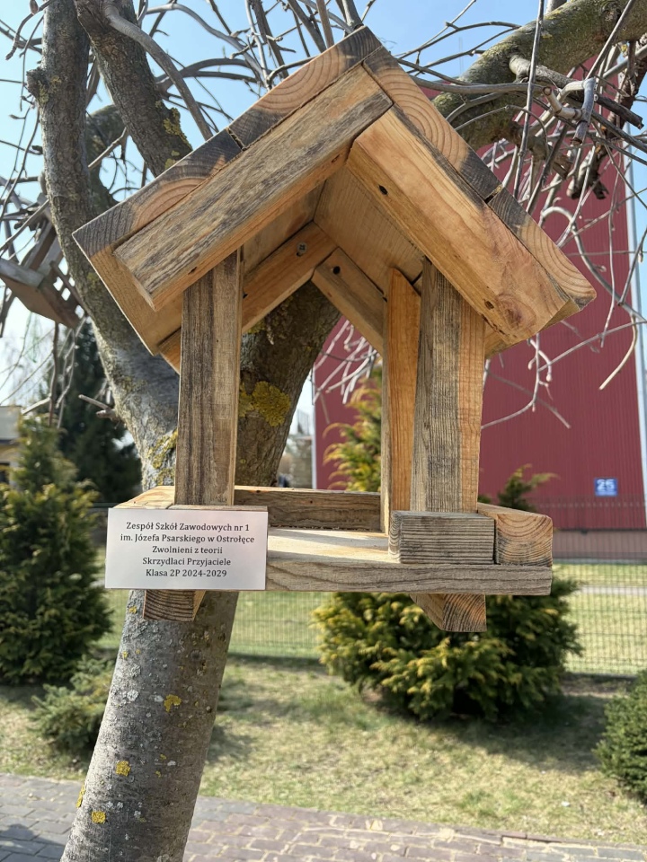 Uczniowie ZSZ nr 1 z wizytą w przedszkolu. Lekcja o ptakach w ramach projektu [30.03.2026] - zdjęcie #7 - eOstroleka.pl